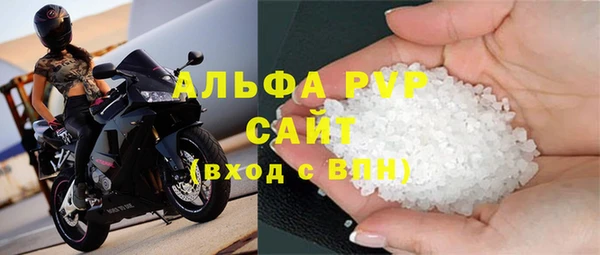индика Нефтекумск