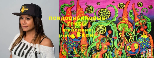 прущая мука Нея