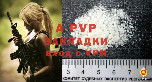 индика Нефтекумск
