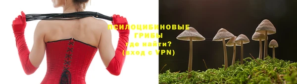 прущая мука Нея