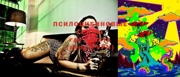 индика Нефтекумск